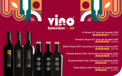 Vinoway Selection 2025: i vini premiati