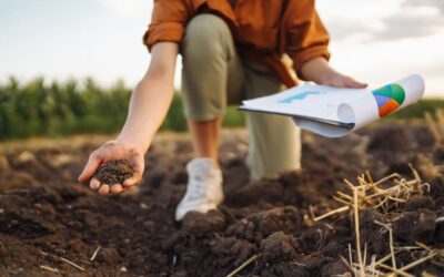 Cosa fa l’agronomo?